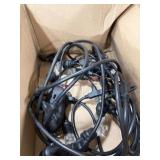 String Lights with Black Cord and Clear Bulbs