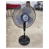 Holmes black floor fan