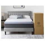 Zinus Night Therapy 12" Medium Gel-Infused Memory