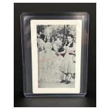 1094 hoyle wizard of oz card