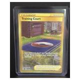 2021 pokemon training court