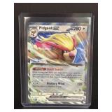 2023 pokemon pidgeot