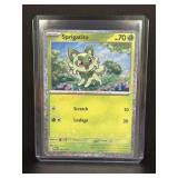 2023 Pokï¿½mon sprigatito