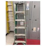 Green 6 foot step ladder