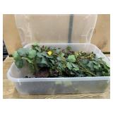 Large Bin of Artificial Foliage and Grapes