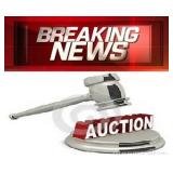 Large Public Auction