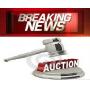 Large Public Auction