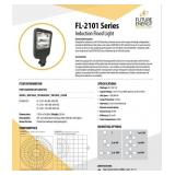 30-100W/80-150W INDUCTION FLOOD LIGHTS - FL2101 &