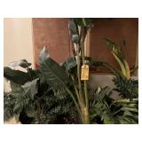 LOT ARTIFICIAL PLANTS IN ROOM