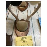 WALL ART - ANTLERS