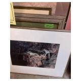 FRAMED PICTURES - NATURE