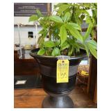 LARGE BLACK ROUND PLATTER