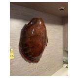 LARGE PRESERVED TURTLE SHELL