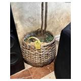 WICKER BASKET WITH ARTIFICIAL PLANT - 7