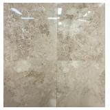 SQ. FT. - 24 x 24 Cappuccino Lot 204KH (24 x 24 x