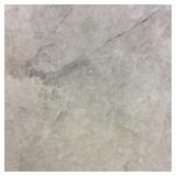 SQ. FT. - 24 x 24 Platinum Polished (24 x 24 x 1/2