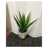 ARTIFICIAL PLANT IN POT