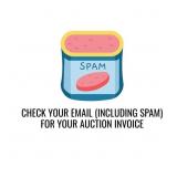 CHECK YOUR EMAIL (INCLUDING SPAM) FOR YOUR AUCTION