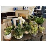 ASSORTED GREENERY & FRAMES