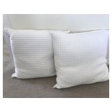 2PC WHITE PILLOWS
