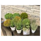 11 PC ASSORTED GREENERY