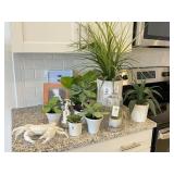 8PC ASSORTED GREENERY W/ FRAME