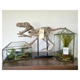2PC DINOSAUR GREENERY W/DECO
