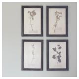 4 PC FRAMED PRINTS