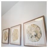 FRAMED WATERCOLOR PRINTS