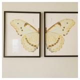 2 PC BUTTERFLY FRAMED PRINT