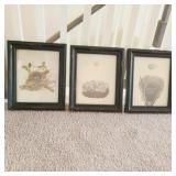 3 PC BIRD NEST FRAMED PRINTS