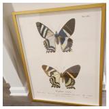 GOLD FRAMED BUTTERFLY PRINT