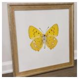 FRAMED BUTTERFLY PRINT