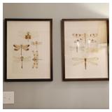 2 PC FRAMED DRAGONFLY PRINTS