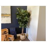 FAUX FIG TREE