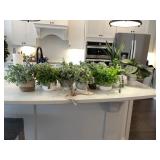 13PC ASSORTED GREENERY