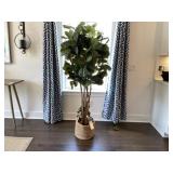 FAUX FIG TREE