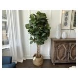 FAUX FIG TREE