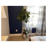 FAUX FIG TREE