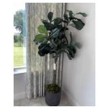 FLOOR PLANT