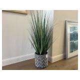 FLOOR PLANT