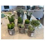 TEN (10) FAUX SUCCULENTS
