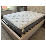QUEEN MATTRESS (ONLY)