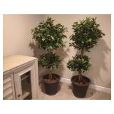 TWO (2) FLOOR PLANTS