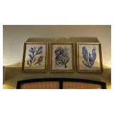 3PC FRAMED PRINTS