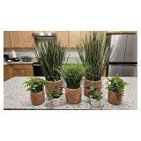 7PC ASSORTED FAUX PLANTS
