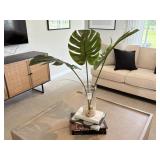 5PC Dï¿½COR ITEMS