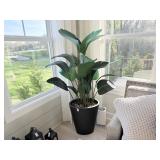 FAUX HOUSE PLANT