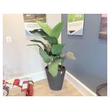FAUX HOUSE PLANT