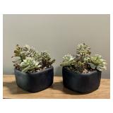2PC FAUX GREENERY